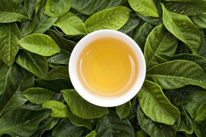 <p><b>ADDIO INSETTI</b></p><p>Il tè è un <b>fertilizzante naturale</b> e può essere usato per allontanare parassiti e insetti. Puoi disporre foglie di tè nei vasi oppure cospargere il <b>terreno</b>. Qualche bustina di tè alla base di un vaso, dove inserirai la pianta, contribuirà, inoltre, a far <b>assorbire</b> meglio l'acqua. </p>