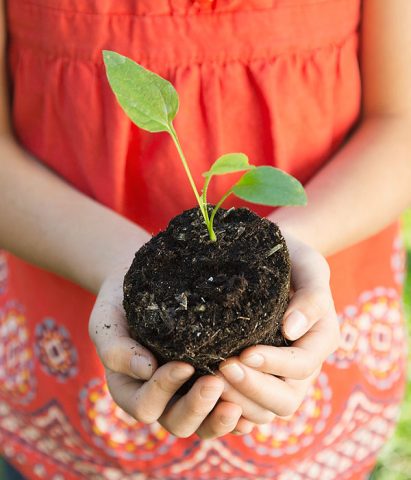 <p>Ma cosa possono fare di concreto i bambini? Praticamente tutto! Possono aiutarci a <b>rinvasare</b> piante e fiori, a <b>innaffiare</b> le piantine, a pulire dalle erbacce e togliere le foglie secche. Bisogna far attenzione all'uso degli <b>attrezzi</b> da giardino a seconda dell'età del bambino e comunque sempre sotto la sorveglianza di un adulto.</p>