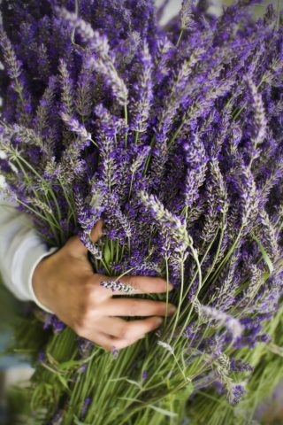 <p><b>RILASSANTE E ILLUMINANTE</b></p><p>Dopo aver portato a ebollizione l'acqua (da preferire acqua minerale o distillata) versa una manciata di fiori di <b>lavanda</b>. Lascia riposare, con il coperchio sulla pentola, per un quarto d'ora circa, poi filtra e versa in un contenitore aggiungendo qualche goccia di olio essenziale di rosa, rosmarino o <b>menta</b>, rinfrescante e astringente. L'<b>alternativa</b>? Anche in questo caso puoi utilizzare i rami di lavanda facendoli macerare per due giorni nell'<b>aceto di mele</b>. Come per tutte le preparazioni fai da te ricorda di conservare il composto in <b>frigorifero</b> per alcuni giorni oppure in freezer, in cubetti pronti da utilizzare anche su punture di <b>zanzara</b> e insetti.</p>