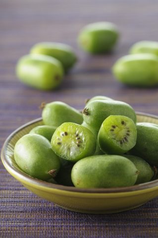 <p> I fitosteroli sono steroli vegetali presenti negli oli vegetali. Studi scientifici hanno dimostrato che, assumendo con regolarità 2 grammi di steroli vegetali al giorno per tre settimane, è possibile ridurre il colesterolo"cattivo del 10%.<br />Si trovano in kiwi, <b>broccoli</b>, cavolini di Bruxelles, <b>cavolfiori</b>, olive verdi e nere.</p><p>"Tuttavia, tutti devono seguire una dieta a basso contenuto lipidico, per preservare la propria<b> salute, </b>e non solo chi è a rischio di patologie cardiovascolari. Le indicazioni alimentari vengono suggerite più per bilanciare l'apporto di grassi generale che per ridurre esclusivamente il colesterolo. Limitare tutto al colesterolo è riduttivo: seguire un'alimentazione controllata rappresenta un caposaldo della salute" - conclude il Prof. Claudio Borghi, professore di Medicina Interna presso l'Università di Bologna. </p>