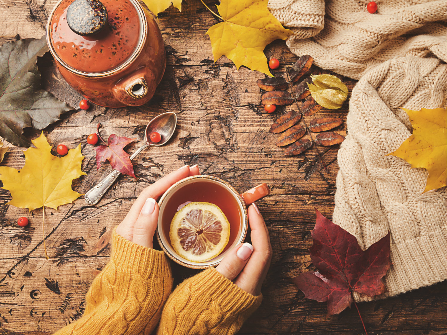 Risultato immagini per tisane autunnali"