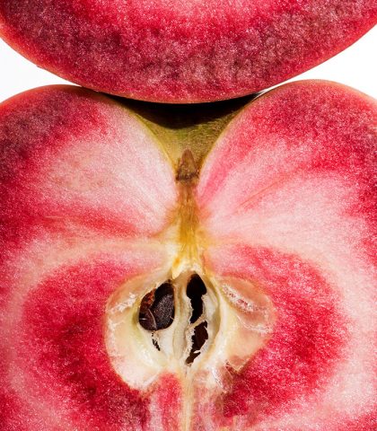 <p>Come le carote nere, anche questi frutti sono un vero concentrato di sostanze <b>antiossidanti</b>. Gli studi hanno dimostrato che hanno una quantità di <b>polifenoli</b> quattro volte superiore a quella contenuta nelle mele Annurche.</p><p><b>Come consumarle </b></p><p>Sono molto profumate e, una volta tagliate, non diventano nere perciò sono perfette per le <b>macedonie</b> di frutta.</p>
