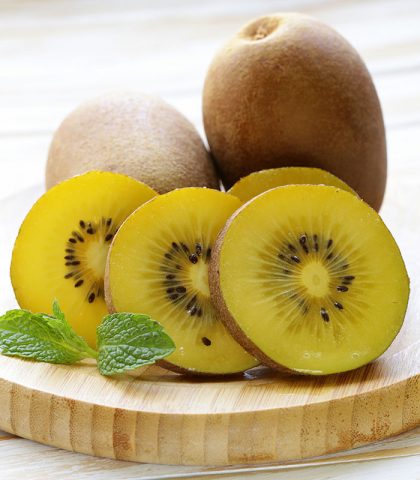 <p>«Questo frutto è particolarmente ricco di <b>vitamina C</b>, ma è molto più zuccherino e meno acido del più classico a polpa verde. E per questo piace molto anche ai bambini» spiega la nutrizionista Paola Richero.</p><p><b>Come consumarli </b></p><p>Se ti piace l’agrodolce, il kiwi giallo è perfetto abbinato a un <b>formaggio stagionato</b> molto saporito.</p>