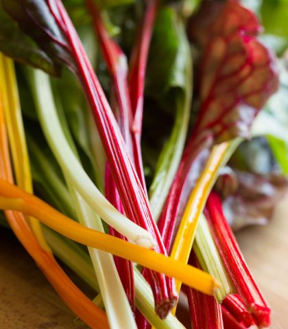 <p><b>LE BIETOLE ARCOBALENO PROTEGGONO GLI OCCHI</b></p><p>Si chiamano così perché le coste sono di colori diversi che vanno dal giallo al rosa. «Rafforzano il <b>sistema immunitario</b> e riducono il rischio di <b>cataratta</b> perché sono particolarmente ricche di luteina e zeaxantina, le “vitamine degli occhi”» spiega Paola Salgarelli, specialista in Scienze dell’alimentazione.</p><p><b>Come consumarle </b></p><p>Per preservare i nutrienti, cuocile <b>al vapore</b> mettendo nel cestello prima le coste e cinque minuti dopo le foglie.</p>