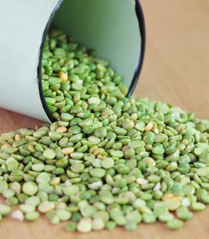 <p><b>Lenticchie, ceci, fagioli</b></p><p>Uno degli <b>alimenti</b> che non dovrebbero mai mancare sulla tavola di chi soffre di <b>diabete (</b>ma non solo), sono i <b>legumi</b>. Si tratta, infatti, di un supercibo in grado di apportare numerosi <b>benefici </b>al nostro organismo.</p><p>I legumi infatti, grazie all'elevato contenuto di <b>fibra solubile</b>, aiutano a tenere sotto controllo i <b>livelli di glucosio </b>nel sangue.</p><p>Quindi, portare in tavola <b>lenticchie</b>, piselli, ceci e fagioli <b>due-tre volte a settimana</b> è, senza dubbio, una scelta salutare. «Inoltre, sempre la presenza delle <b><a href="https://www.donnamoderna.com/salute/fibre-alimentazione/disturbi-curati-da-fibre" target="_self" data-mce-href="https://www.donnamoderna.com/salute/fibre-alimentazione/disturbi-curati-da-fibre">fibre</a> </b>aumenta il senso di <b>sazietà</b>» specifica la dott.ssa Noli. Tutto ciò è di aiuto per evitare<b> attacchi di fame</b> e abbuffate varie responsabili dell'aumento di peso.</p>