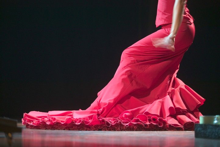 flamenco