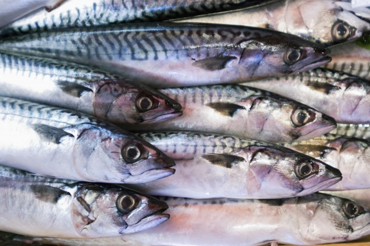 Fish for Sale at Vucciria Market