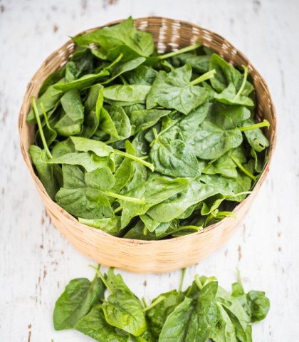 <p>Ingredienti</p><p>400 g di spinaci</p><p>100 g di avena integrale</p><p>1 cipolla bianca</p><p>1 porro</p><p>1 cm di zenzero</p><p>Alloro</p><p>Sale</p><p>Pepe</p><p>Noce moscata</p><p>Olio extravergine d’oliva</p><p>Acqua</p><p>La <b>zuppa di spinaci</b> e <b>avena integrale</b> è un piatto delizioso e semplice da preparare: si tratta di una ricetta genuina e naturale, che racchiude tutto il gusto dei sapori autunnali. Puoi prepararla per una cena leggera, ricordandoti però di aver messo a mollo i <b>cereali</b> già qualche ora prima (circa 3 h , ma ti conviene regolarti in base alle istruzione presenti sulla confezione).</p><p>La prima cosa da fare è pulire gli <b>spinaci</b> sotto l’acqua corrente: ti consigliamo di usare quelli freschi ma nel caso in cui tu non li abbia, vanno bene anche quelli surgelati.</p><p>Taglia finemente la <b>cipolla bianca</b> e il porro, e falli imbiondire in una pentola dal bordo alto insieme all’olio extravergine d’oliva. A quel punto includi l’avena integrale già ammorbidita e falla tostare per qualche minuto.</p><p>Prosegui la preparazione della <b>zuppa</b> di spinaci aggiungendo gradualmente dell’acqua calda o del brodo, se preferisci un gusto più intenso. Aggrega gli <b>spinaci</b> e cuoci a fiamma dolce, per circa 40 minuti, aggiungendo man mano qualche mestolo di brodo o acqua. Aggiusta di sale e pepe nero e continua con la cottura. Dai un tocco di sapore aggiungendo 1 cm di <b>radice di zenzero</b> grattugiato e qualche foglia di <b>alloro</b>.</p><p>Se ti piace, puoi anche spolverare con della <b>noce moscata</b>.</p><p>Una volta trascorsi circa 40 minuti, puoi gustare la tua zuppa di spinaci. Disponila in dei cocci o in delle coppette, così da trattenere il calore e da poterla gustare meglio, e servila con un filo d’olio extravergine d’oliva a crudo. L’ideale è accompagnarla con dei tocchetti di pane aromatizzato e tostato in forno, magari del <a href="https://www.donnamoderna.com/cucina/come-fare/ricette-farina-amaranto" rel="follow" title="ricette farina amaranto" target="_self"><b>pane di amaranto</b></a>.</p><p>Buon appetito!</p>
