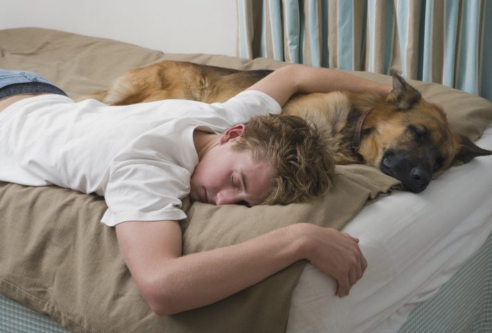 <p>Se vuoi capire quanto ti vuole bene il tuo cane, devi dare uno sguardo anche a <b>dove dorme</b>. Se predilige il letto, attaccato a te, allora non ci sono dubbi, è una vera e propria prova d’amore. Perché il tuo amico a quattro zampe, oltre a essere decisamente più comodo, ti vuole stare vicino a tutti i costi poiché sa che tu sari sempre pronto a vegliare su di lui durante la notte. Gli animali si sentono vulnerabili quando dormono, e il fatto di mettere il loro destino nelle mani del suo padrone è un segno importante di fiducia.</p>