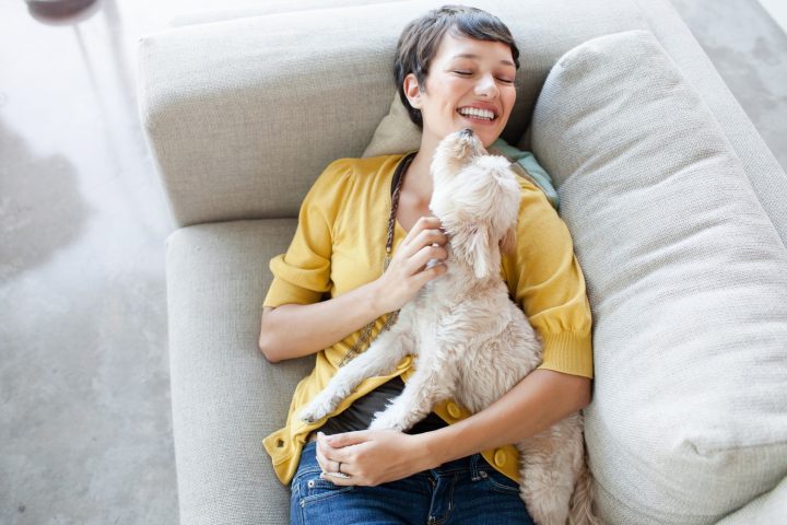 <p>Se un cane subito dopo aver mangiato, vuole andare<b> in braccio al suo padrone</b> per essere coccolato, è un segnale d’affetto molto importante perché il nostro amico peloso ama da impazzire mangiare e una volta terminato il suo bisogno "naturale" ha tutte le scelte disponibili di fronte a sé. Se sceglie di venire in braccio a te per delle coccole è un segno d’amore vero e proprio.</p>