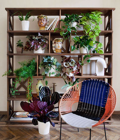 <p>Hai una grande libreria dall'aria un po' disordinata? Togli libri e soprammobili e riempila di <b>piante</b>! L'effetto green e rilassante è assicurato!</p>