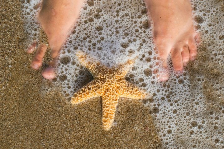 <p><b>A PIEDI NUDI</b></p><p>La <b>terra</b> è un organismo vivo e in costante cambiamento. Stare a <a href="https://www.donnamoderna.com/salute/vivere-meglio/ritrovare-se-stessi-piedi-nudi" target="_self" data-mce-href="https://www.donnamoderna.com/salute/vivere-meglio/ritrovare-se-stessi-piedi-nudi">piedi nudi</a> sveglia il <b>metabolismo</b> e produce una serie di reazioni in grado di influenzare la chimica dell'organismo: dai piedi al <b>cervello</b>, corpo e mente ritrovano il benefico contatto con la terra. Dalle ricerche emerge che l'abitudine a camminare a piedi nudi porta a una riduzione di dolori muscolari e <b>infiammazioni</b>, migliora la circolazione, abbassa i livelli di cortisolo nel sangue e influenza lo stress ossidativo modulando la funzione neurologica. Al mare si aggiunge un ulteriore elemento: la <b>sabbia</b>, che scatena una potente risposta a livello emozionale e sensoriale.</p>