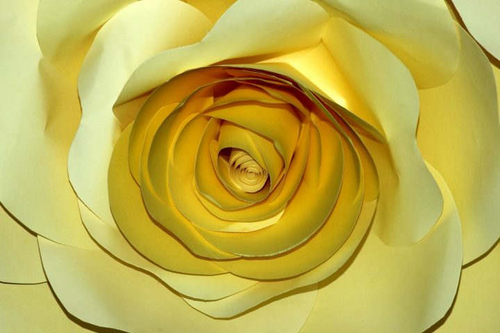 <p><b>BOUQUET DI CARTA</b> </p><p>Ritagliando petali di diverse<b> forme</b> e ampiezza, potrai realizzare una rosa più grande e complessa. Con la colla vinilica<b> fissa </b>i petali più piccoli uno all'altro, di modo che prendano la forma di un <b>bocciolo</b>. Via via, potrai aggiungere ulteriori petali, dando alla rosa la sua forma definitiva. Ricorda che scegliendo un tipo di carta molto<b> sottile</b> potrai conferire al lavoro l'impressione vibrante e delicata tipica dei petali. È possibile utilizzare anche la carta da regalo, oppure una carta dorata, perfetta per un'occasione di <b>festa</b>.</p>