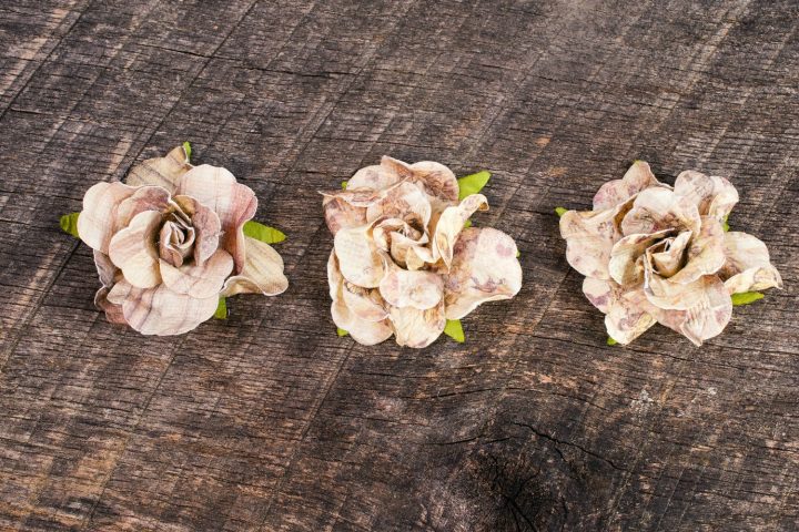 <p><b>RITAGLIA I PETALI</b> </p><p>Usa un paio di <b>forbici</b> o un cutter per ritagliare i petali. Se desideri ottenere forme regolari puoi<b> disegnare</b> la sagoma su un cartoncino, da ritagliare in modo uniforme. Avvicina i petali e incollali uno all'altro con qualche goccia di <b>colla </b>vinilica. Puoi utilizzare un nastro di raso <b>verde </b>per legare i fiori. Ritaglia la sagoma di una <b>foglia</b> nel cartoncino, oppure sfrutta un foglio di carta vellutata. Questi fiori sono perfetti per decorare un pacchetto regalo, oppure da utilizzare come spilla o<b> fermaglio </b>per i capelli: ti basterà incollarli su una base. Per realizzare i petali è possibile riciclare carta di giornale, ma anche scampoli di<b> stoffa</b> o cartoncino.</p>