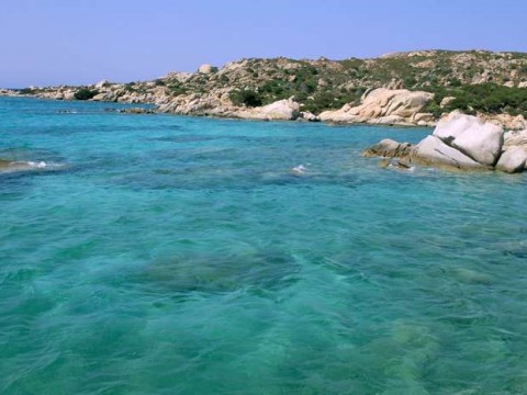 Spiagge Per I Cani Ecco Le Migliori Ditalia Donna Moderna
