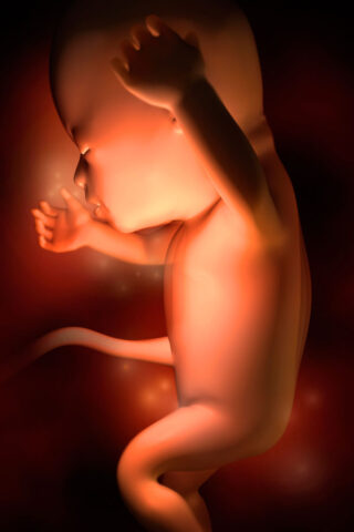 <p><b>La sedicesima settimana di gravidanza</b></p><p> Questa è una <b>settimana magica</b> perché potresti cominciare a percepire i <a href="http://bambino.donnamoderna.com/gravidanza-parto/quinto-mese-di-gravidanza-i-primi-movimenti/3/" target="_self"><b>primi movimenti del feto</b></a>. Se hai avuto altri figli per te sarà più facile notare i <b>movimenti fetali </b>perché sai già come percepirlo. Se invece è il tuo primo bimbo, potresti sentirlo muoversi più in là. Inizialmente avvertirai come un rapido guizzo di un pesciolino, o come il battere di <b>ali di una farfalla</b>, e via via avvertirai più nettamente i suoi movimenti.<br /> Al bebè sono uscite le unghie che sono ormai ben formate, e le dita sono perfettamente articolate dal bimbo che già le usa per esplorare il suo corpo e l'ambiente che lo circonda. Le orecchie hanno raggiunto la posizione giusta spostandosi dal collo alla testa. <br /> Ha cominciato a svuotare la vescica ogni 40-45 minuti. Pesa circa <b>90 grammi</b> ed è <b>16 cm di lunghezza</b>. <br />Un'altra bella notizia? Il <b>sesso</b> ora può essere individuato con sicurezza tramite l'<b>ecografia</b>.</p>