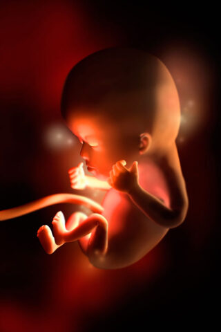 <p> Da questa <b>settimana </b>in poi potresti sentirti un po' meglio: la <b>stanchezza cronica</b> e la <b>nausea</b> stanno per andarsene. La pancia potrebbe cominciare a gonfiarsi, soprattutto se non sei alla <b>prima gravidanza</b> e quindi i tuoi muscoli addominali cedono più facilmente.<br /> Il motivo del calo dei sintomi tipici del primo trimestre è legato al fatto che a questa settimana, diventa più contenuta e stabile la <b>produzione di ormoni</b> della placenta. <br /> Una seconda buona notizia è quella che il <b>rischio di <a href="http://bambino.donnamoderna.com/gravidanza-parto/aborto-spontaneo-un-lutto-interiore/" target="_self">aborto spontaneo</a></b> si riduce sempre di più.<br /> Anche se il cervello del tuo bebè non ha la stessa grandezza di quando nascerà, ora ha già la stessa struttura. <br /> Il bimbo ora pesa circa <b>20 grammi</b>, misura approssimativamente <b>6 cm di lunghezza</b> e il suo cervello, anche se più piccolo di quando nascerà, ha già la stessa struttura. <br />Nonostante il <b>sistema nervoso</b> non sia completamente formato ha già dei riflessi propri e fa pratica con i <b>movimenti di tutto il corpo</b>.</p>