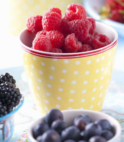 <p><b>Piccoli frutti per non arrossire</b></p><p>Quando il<b> rossore </b>delle guance non è dovuto solo a<b> emozione</b> o timidezza, diventa decisamente meno piacevole e sopportabile. Questo è il caso di <b><a href="https://www.donnamoderna.com/bellezza/viso-e-corpo/couperose-pelle" target="_blank">chi soffre di </a><a href="https://www.donnamoderna.com/bellezza/viso-e-corpo/couperose-pelle" target="_blank">couperose</a> </b>e fragilità capillare che rende evidenti venuzze <b>sottocutanee</b> (la classica chiazza rosata a forma di “farfalla”) soprattutto se la pelle è esposta a <b>sbalzi termici </b>e non adeguatamente protetta.</p><p>Chi soffre di couperose dovrebbe consumare un buon quantitativo di cibi dalle proprietà <b>vaso-protettrici</b> come i <b>frutti rossi</b>. <b>Mirtilli</b>, lamponi, ribes e more sono, infatti, altamente benefici per le pelli fragili e sensibili poiché rinforzano e proteggono dall’interno.<b> </b></p><p>L’azione salutare dei frutti rossi, ricchi di antiossidanti come <b>tannini </b>e antociani, è coadiuvata anche dalla presenza di <b>vitamina C</b> in buona quantità e di benefici <b>acidi organici</b> come l’<b>acido malico </b>e l’acido tartarico.</p>