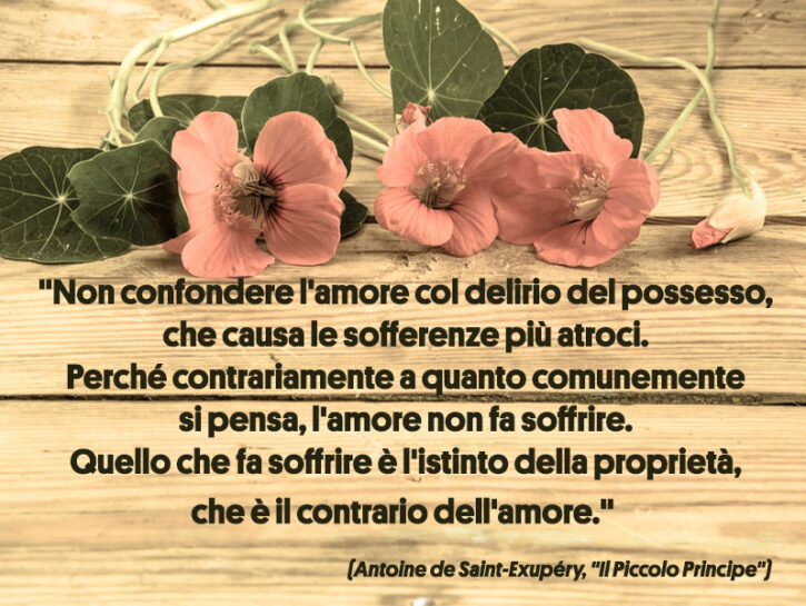 <p>Nei luoghi comuni il matrimonio è la tomba della libertà, ma nel tuo biglietto sostieni l'esatto contrario, vedrai che le tue parole resteranno impresse. Puoi citare Antoine de Saint-Exupéry, l'autore di "Il Piccolo Principe" che ammoniva a <i>"Non confondere l'amore col delirio del possesso, che causa le sofferenze più atroci. Perché contrariamente a quanto comunemente si pensa, l'amore non fa soffrire. Quello che fa soffrire è l'istinto della proprietà, che è il contrario dell'amore." </i></p>
