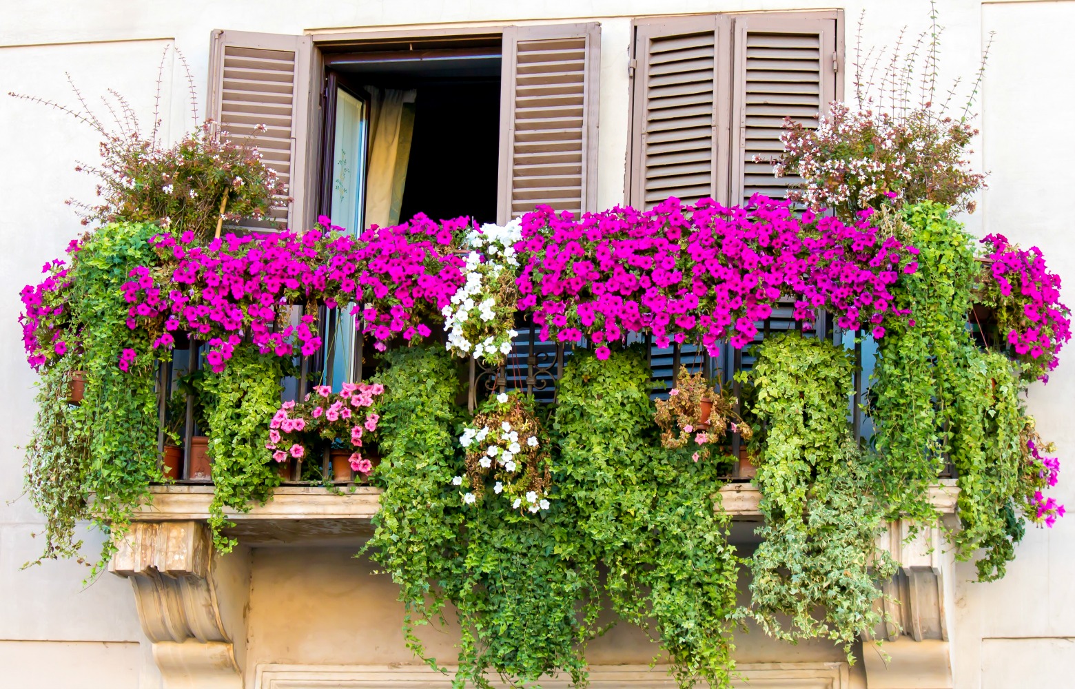 Fiori da balcone | Donna Moderna