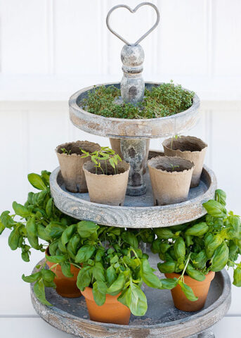 <p> Se le <a href="https://comefare.donnamoderna.com/come-coltivare-le-piante-aromatiche-4494.html" target="_self"><b>piante aromatiche</b></a> in estate erano il punto forte del tuo balcone o giardino, non rinunciare alla loro bellezza, al loro profumo e al loro <b>aroma</b> anche in autunno! Infatti puoi coltivarle anche dentro casa: scegli degli esemplari più piccoli, posizionali davanti a una buona fonte <b>luminosa</b> e annaffiali regolarmente. Come per la coltivazione in esterno assicura alle tue piantine aromatiche un buon <b>drenaggio</b> e regolarmente elimina foglioline o rametti secchi per farle crescere rigogliose. Ogni 15 giorni circa aggiungi all'acqua un po' di <b>concime</b> specifico per piante aromatiche.<br />Basilico, salvia, prezzemolo, timo e rosmarino non sono solo belle da vedere ma anche utili in cucina!</p>