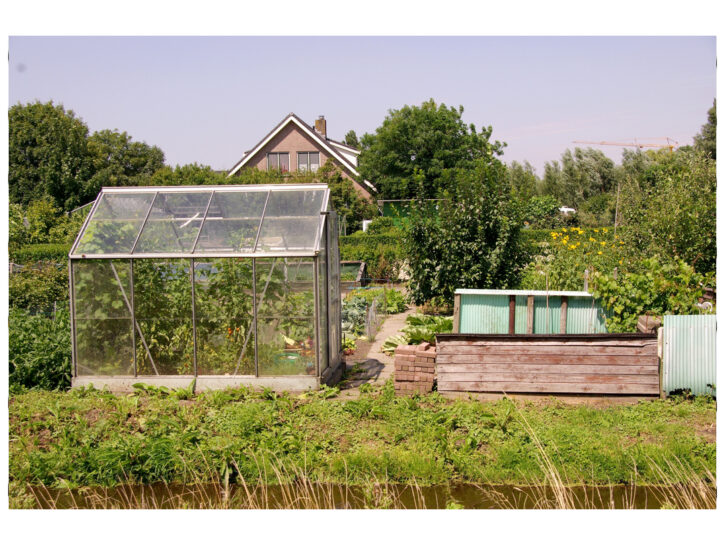 <p>Questo tipo di serre in vetro sono ottime per adornare il tuo giardino! Ricorda: più sarà vicino ad una fonte di calore e più le piantine cresceranno!</p>