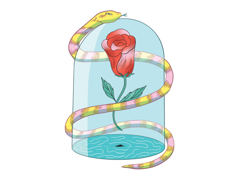 <p>Illustrazione di Elisa Macellari</p>