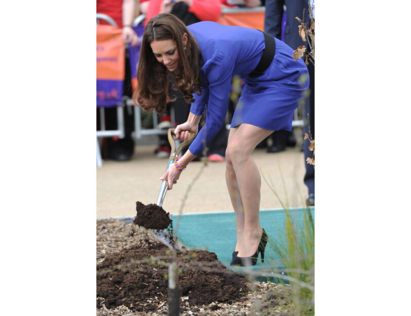 <p>Anche Kate Middleton ha a cuore i progetti green</p>
