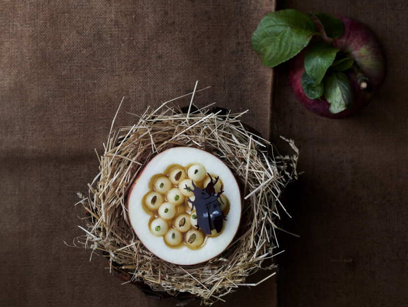 <p>Uno dei piatti fermentati creati nel ristorante Noma di Copenhagen</p>