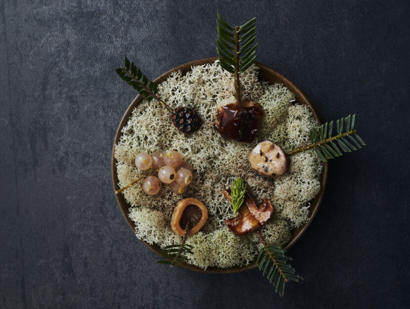 <p>Uno dei piatti fermentati creati nel ristorante Noma di Copenhagen</p>